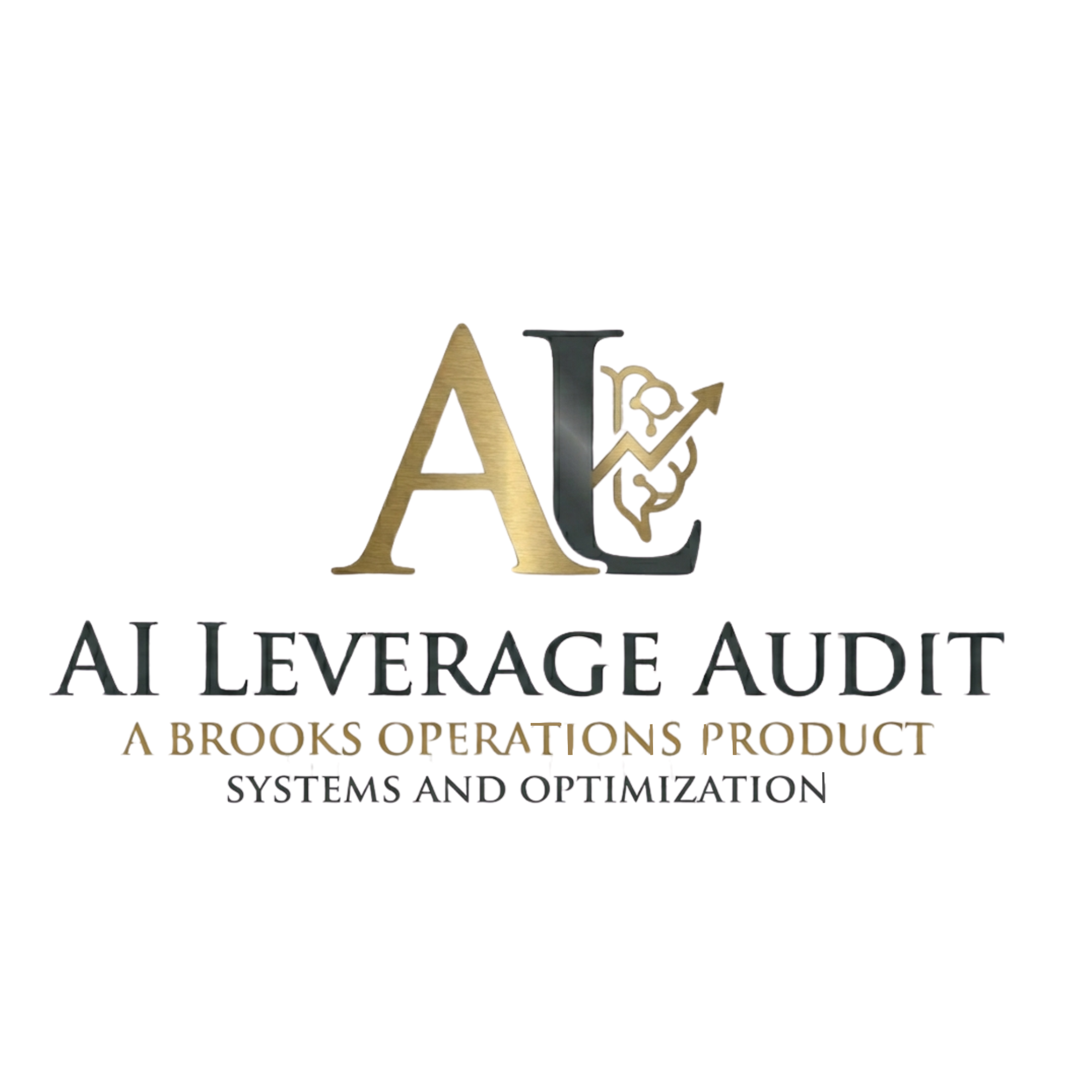 AI Leverage Audit